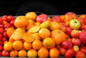 High-Quality Food Items Online